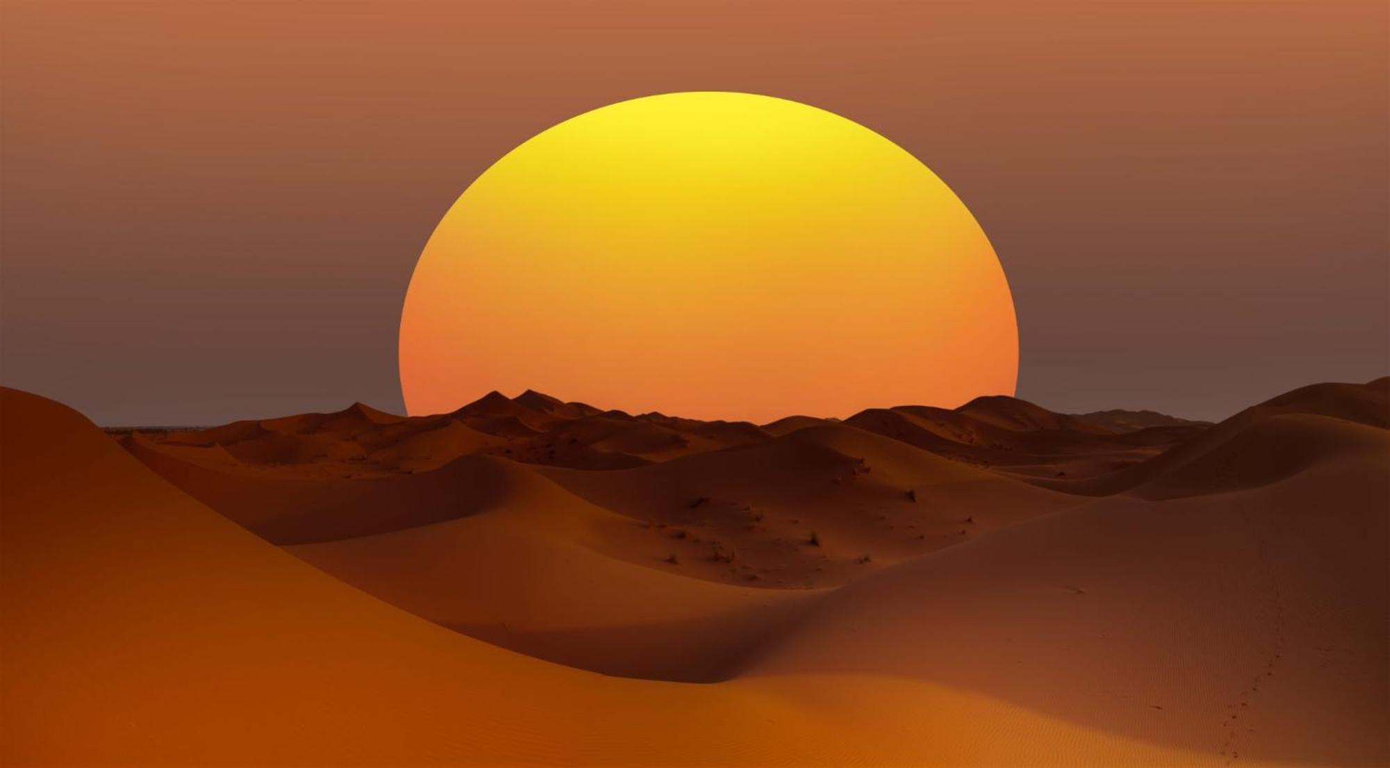 Desert Camel Trek Merzouga Exteriér fotografie