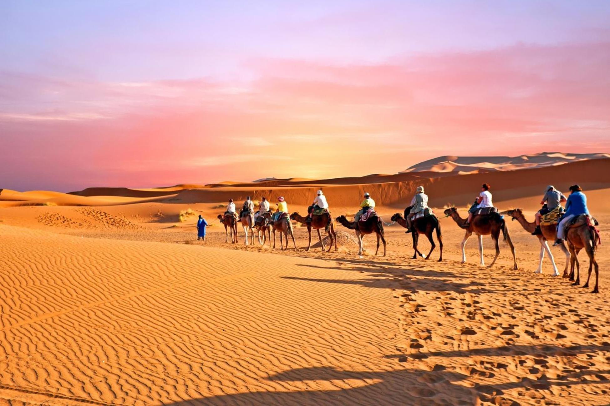 Desert Camel Trek Merzouga Exteriér fotografie