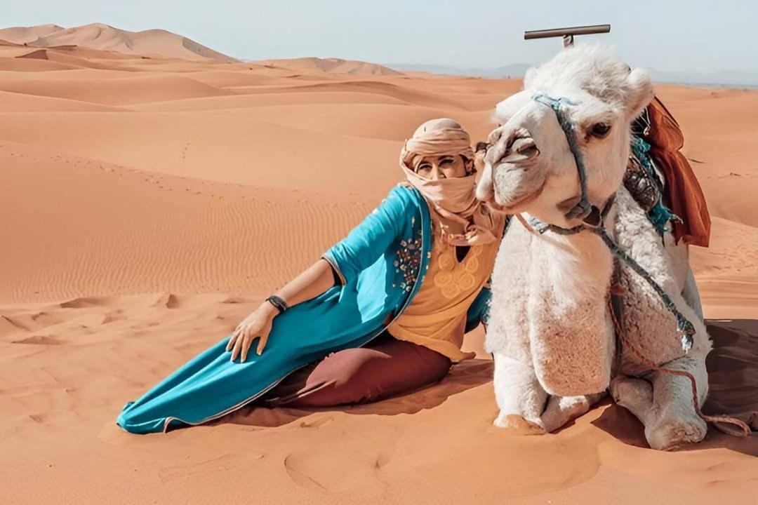Desert Camel Trek Merzouga Exteriér fotografie